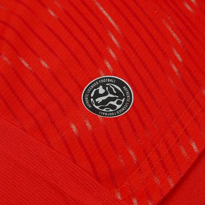 Switzerland 2026/27 Worldcup