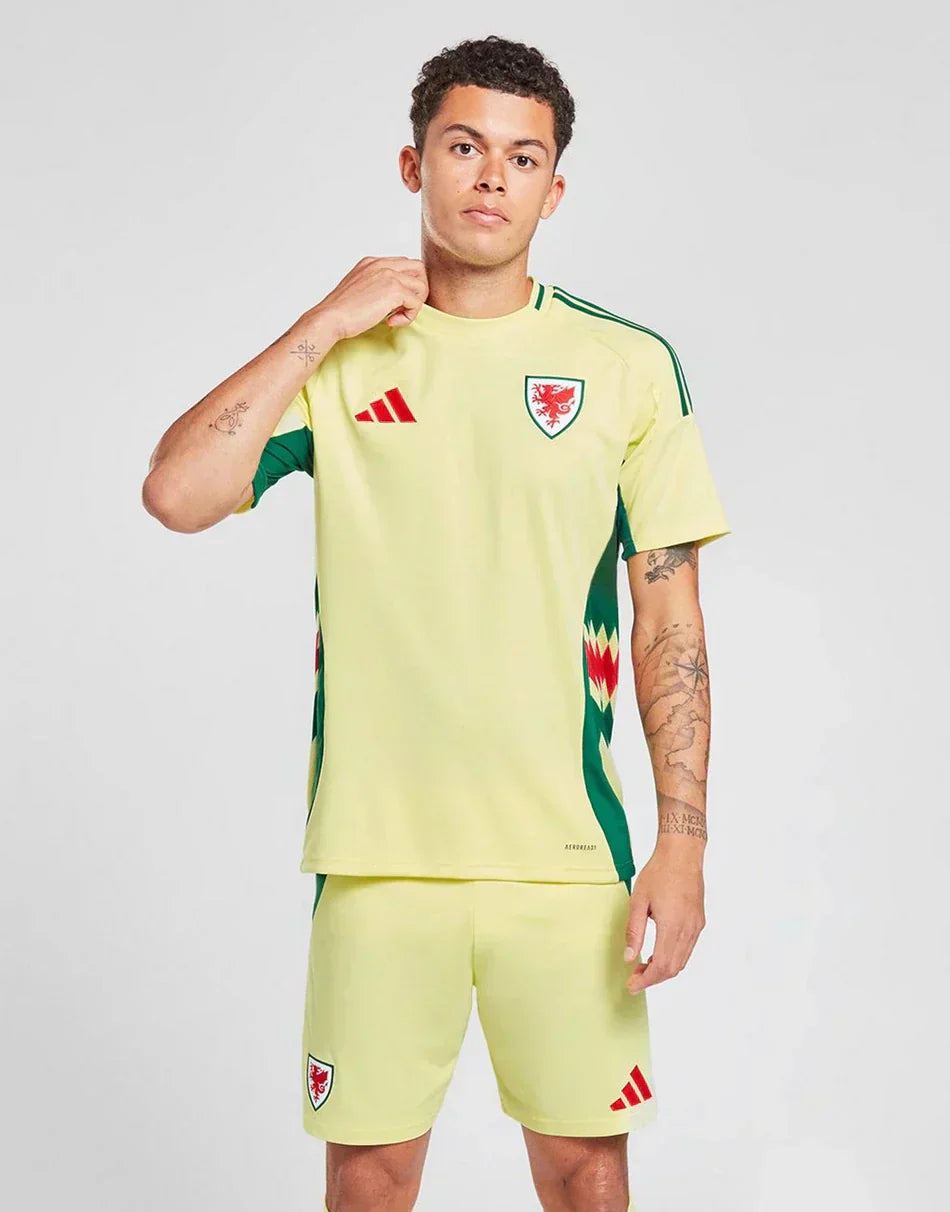 UITSHIRT WALES 2024