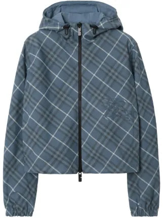 BLUEBERRY WINDBREAKER