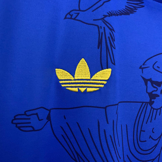 BRAZILIË BLAUW JEZUS STANDBEELD KIT