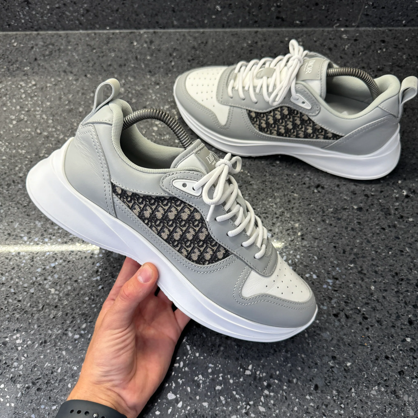 DIOR B25