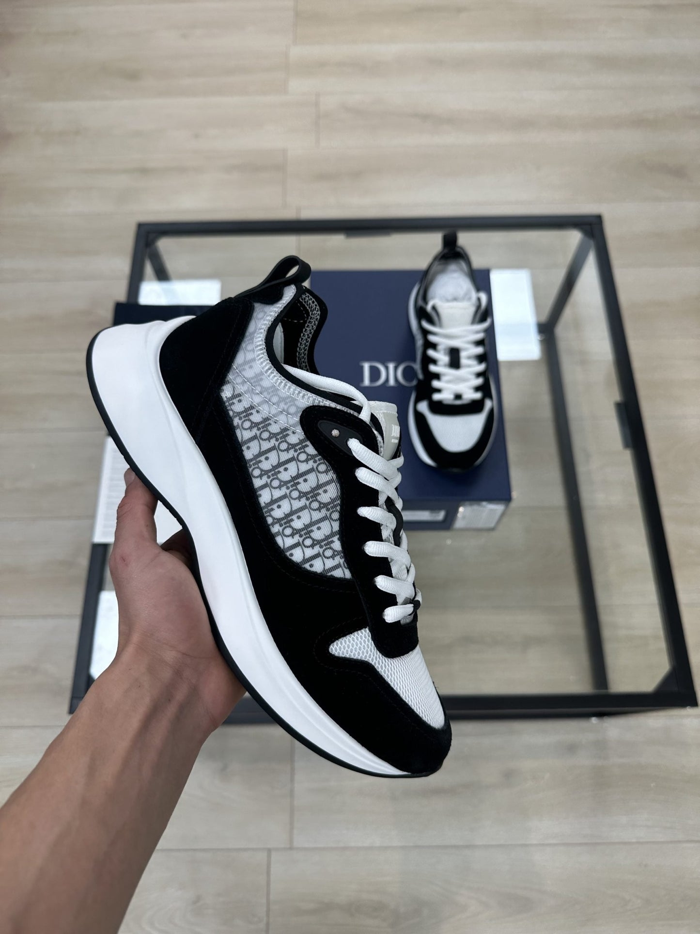DIOR B25