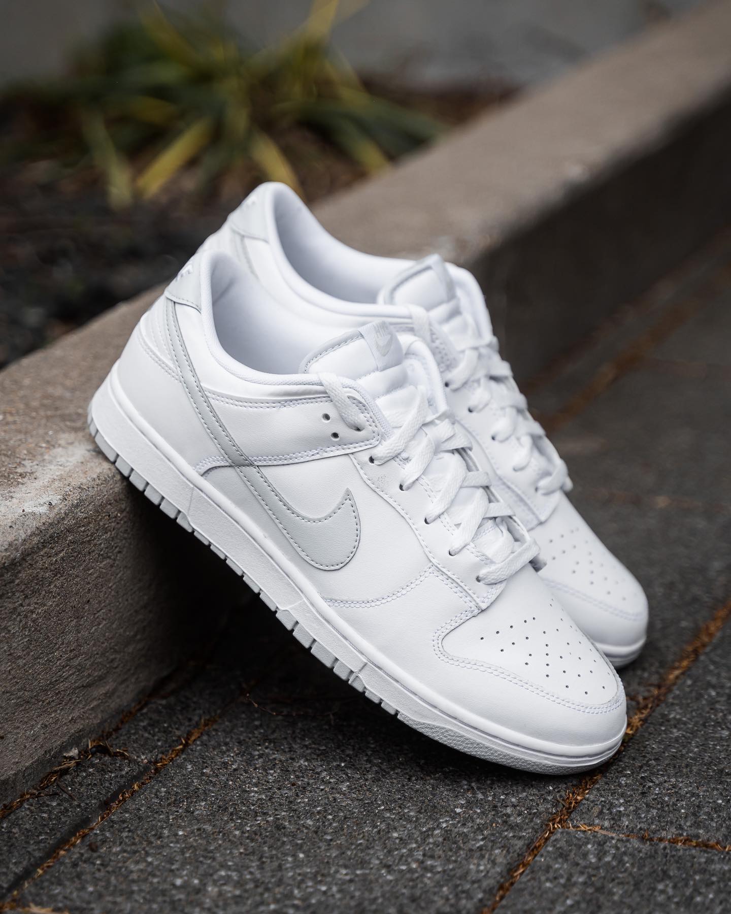 NIKE DUNK LOW