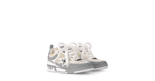 LOUIS VUITTON SKATES