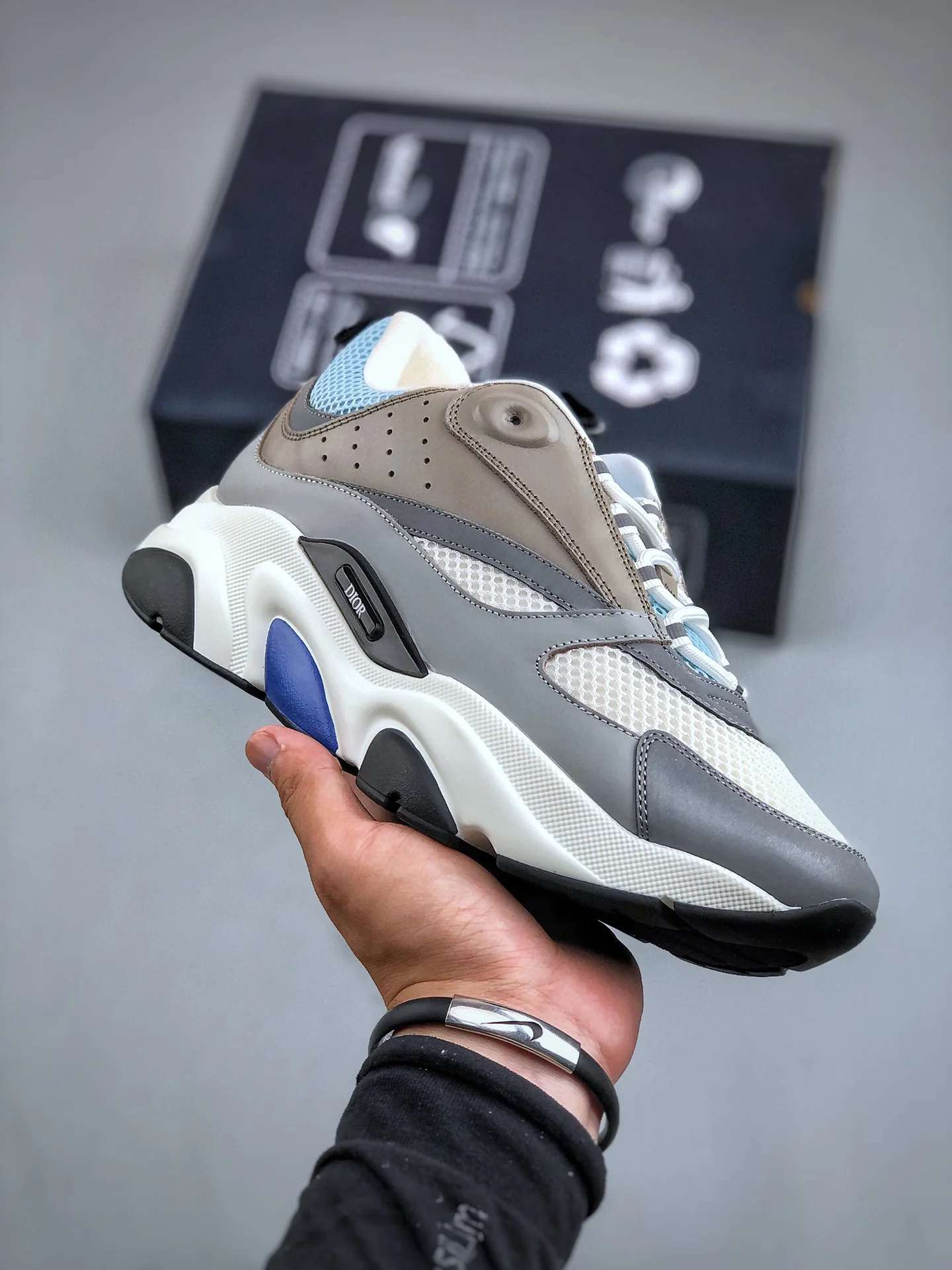 DIOR B22