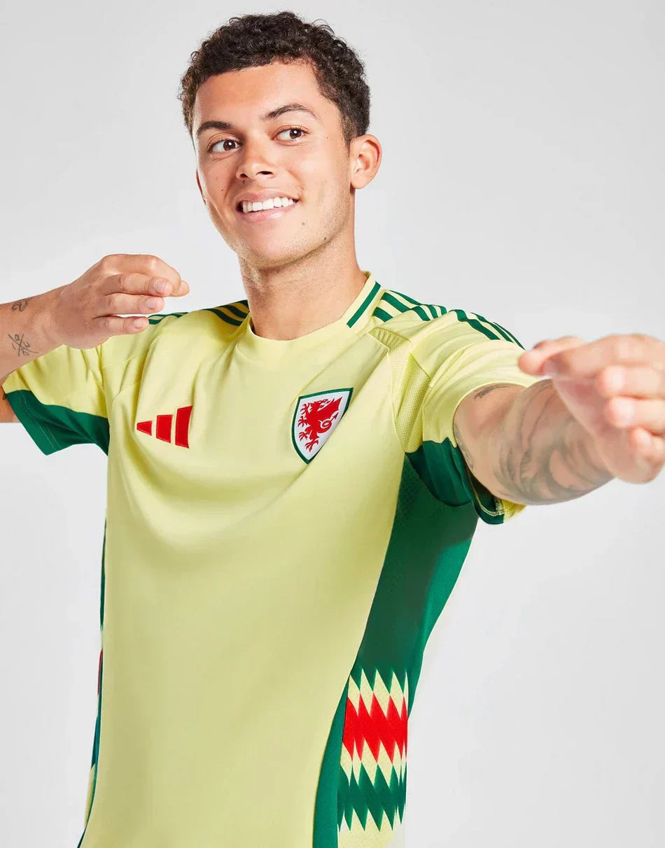 UITSHIRT WALES 2024
