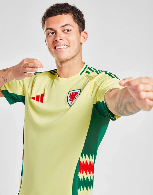 UITSHIRT WALES 2024