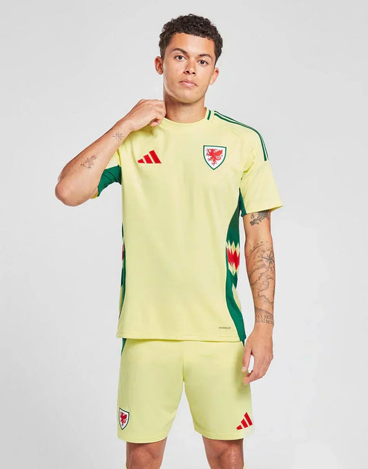 UITSHIRT WALES 2024
